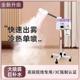 選擇最適合你的蒸臉伴侶 美容噴霧儀全面解析